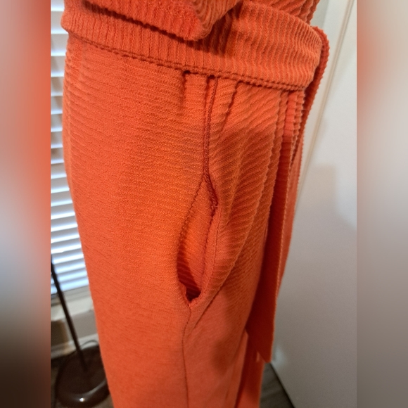 🤎Free People Alma Ribbed Belted Dress🤎 - Picture 8 of 9